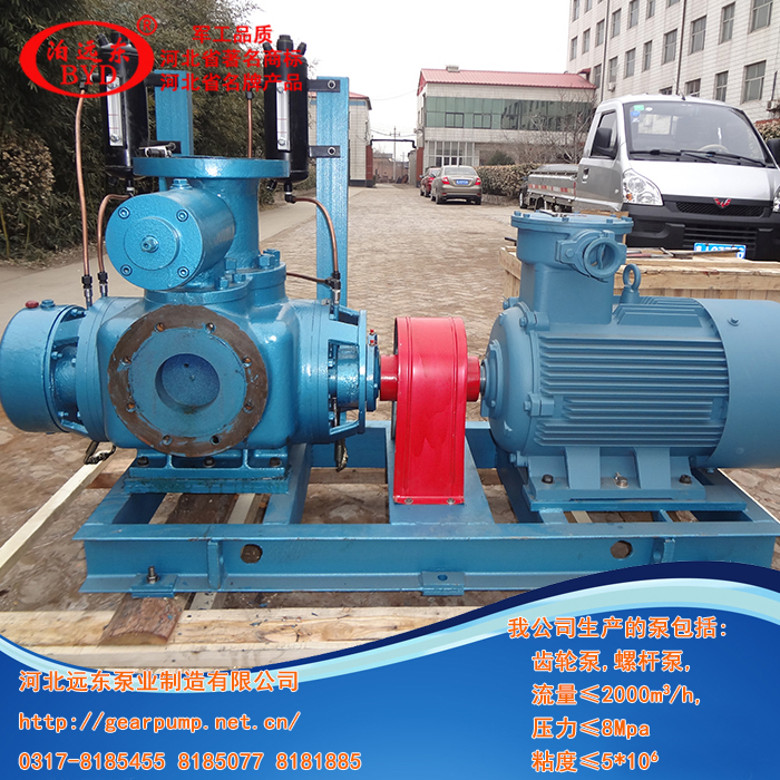 液化氣輸(shu)送泵,雙螺(luó)杆泵