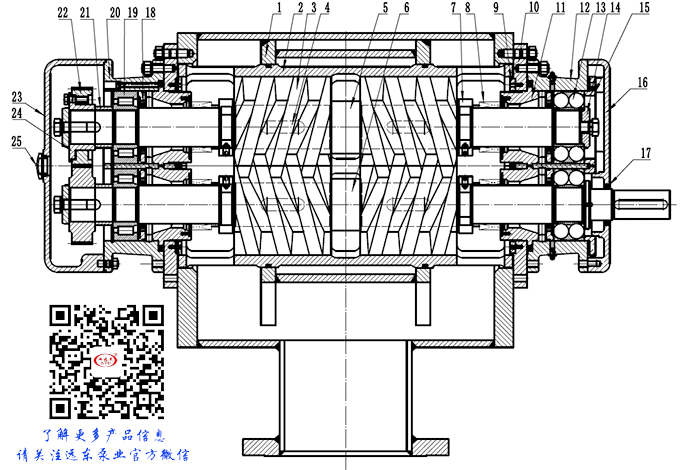 雙(shuāng)螺杆泵結構(gòu)圖