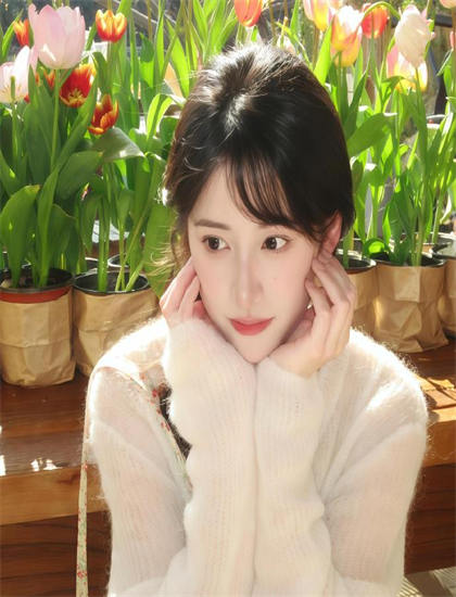 《披荆斩棘的大小姐》影视作品全面解析：剧情深度剖析与艺术价值探讨